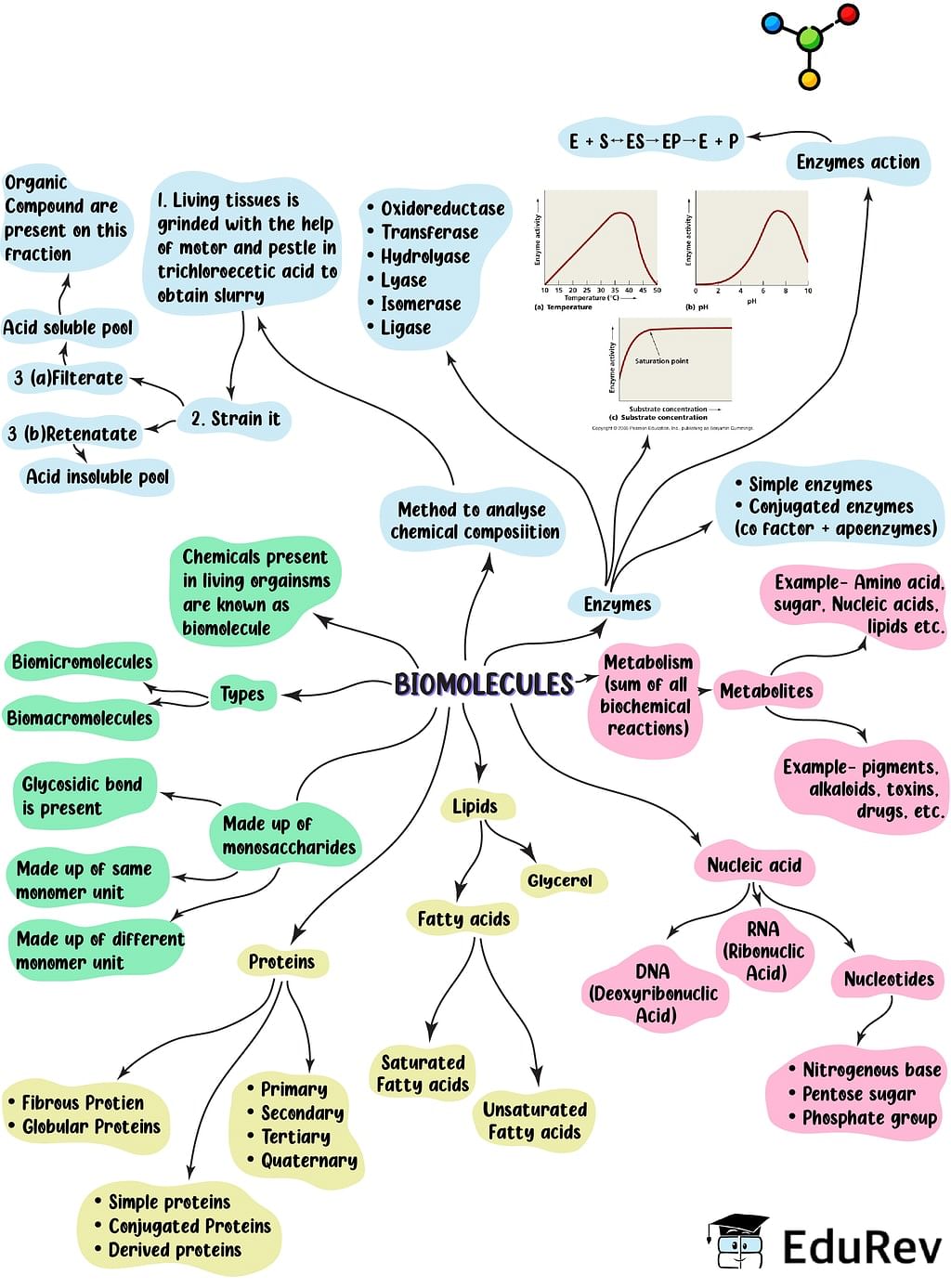 Biomolecules, Free Full-Text