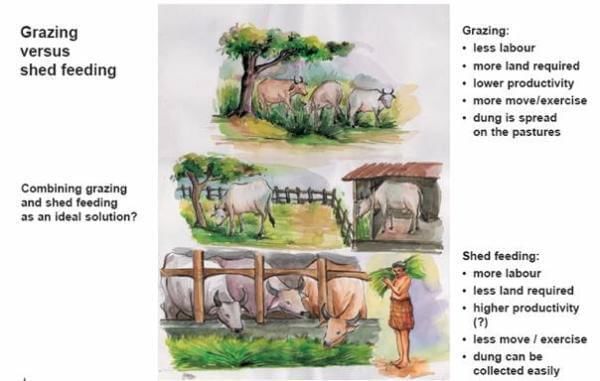 NCERT Solutions: Strategies for Enhancement in Food Production - Notes |  Study Biology Class 12 - NEET