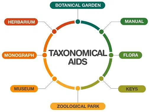 Taxonomical Categories & Taxonomical Aids Notes | Study Biology Class 11 - NEET