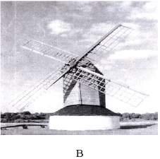 NCERT Exemplar: Environmental Issues | Biology Class 12 - NEET