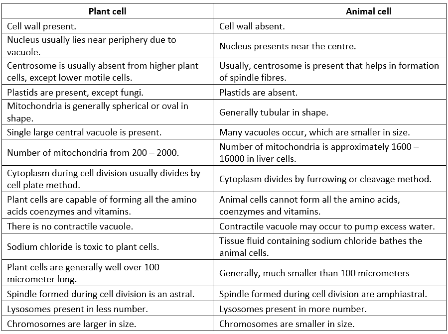 Important Notes for NEET: Cell: The Unit of Life | Biology Class 11 PDF ...