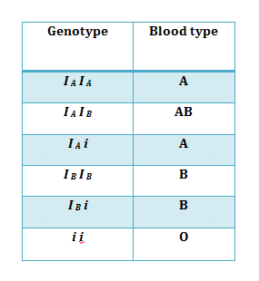 Inheritance of One Gene - Biology Class 12 - NEET PDF Download