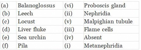 NCERT Exemplar: Animal Kingdom | Biology Class 11 - NEET