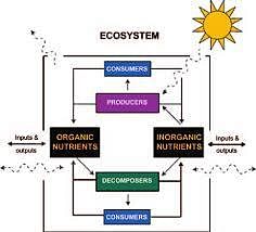 NCERT Solutions: Biodiversity & Conservation Notes | Study Biology Class 12 - NEET