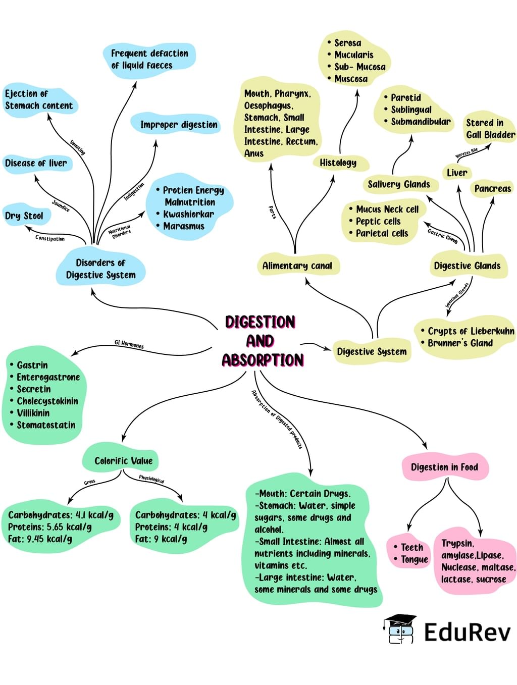 neet-objective-physics-preparatory-series-by-arihant-mind-map