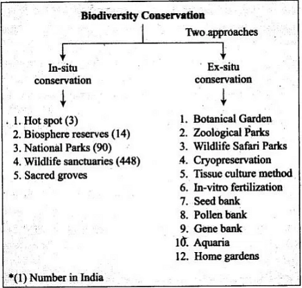 NCERT Exemplar: Biodiversity & its Conservation - 1 Notes | Study Biology Class 12 - NEET