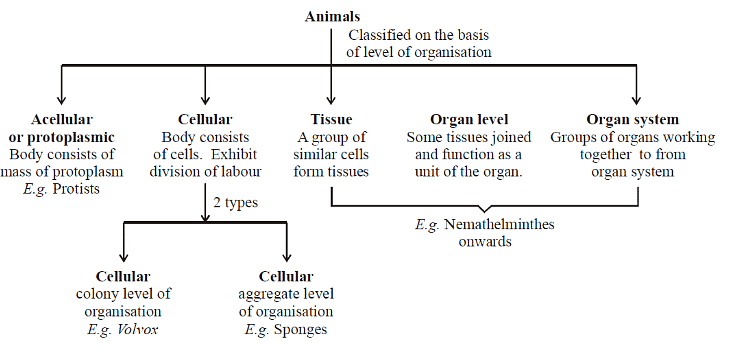 Basis of Classification | Biology for Grade 11