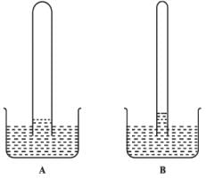 NCERT Exemplar: Transport in Plants - Notes | Study Biology Class 11 - NEET