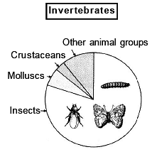 Biodiversity Conservation Notes | Study Biology Class 12 - NEET
