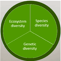 NCERT Solutions: Biodiversity & Conservation Notes | Study Biology Class 12 - NEET