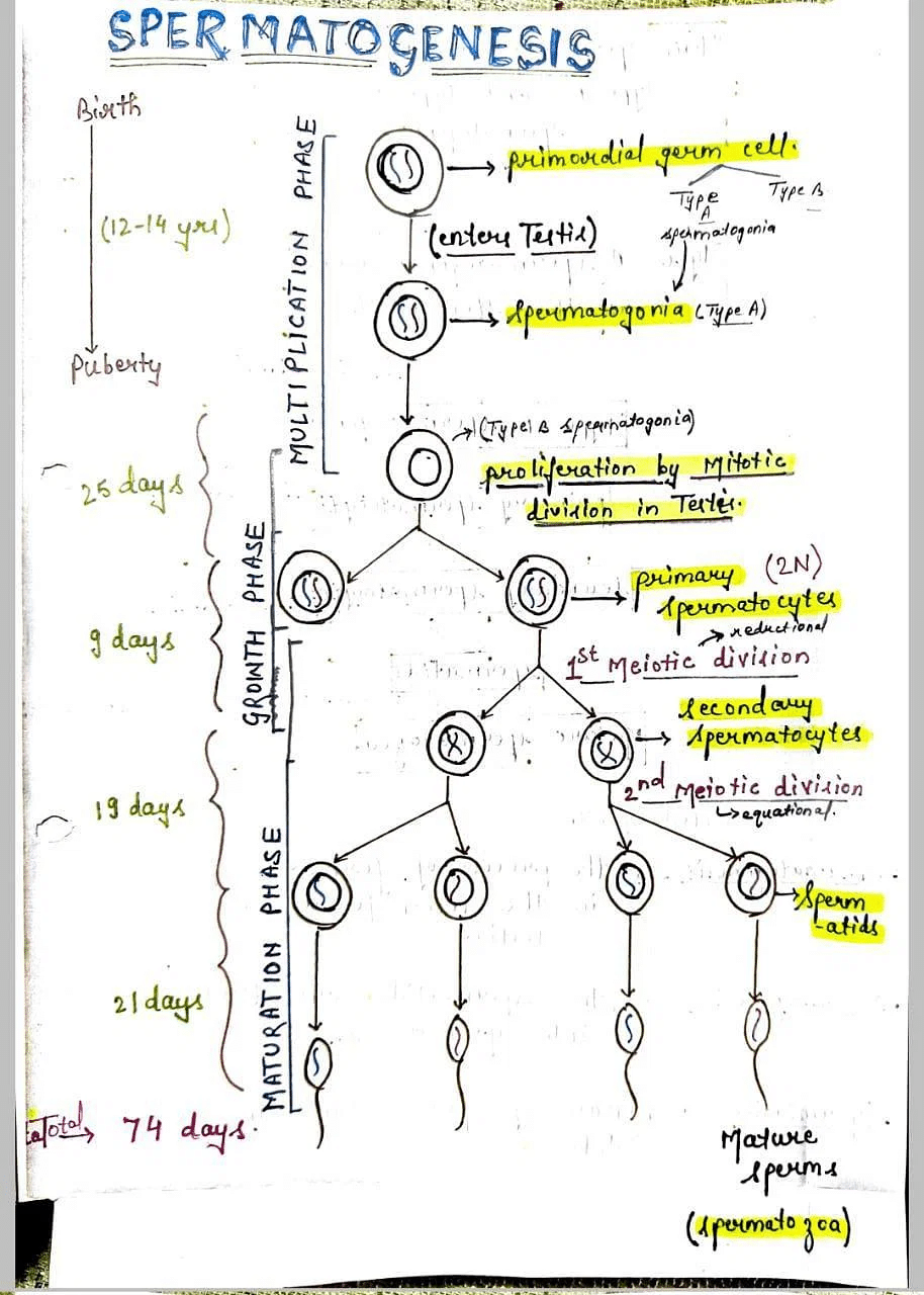 NEET Biology 2023: Important Diagrams of Class 12 PDF Download