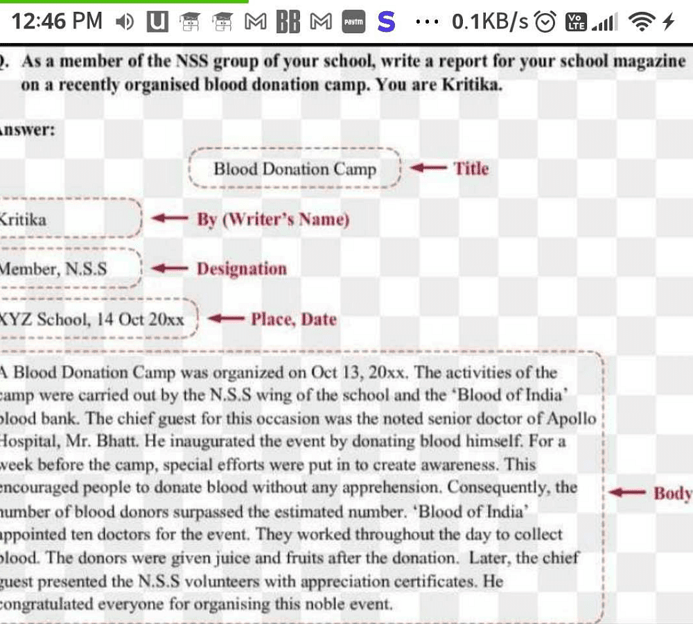 Report writing frame homework sheet. (teacher made) - Twinkl
