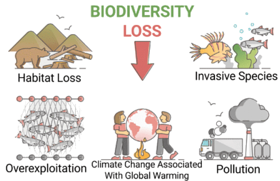 Mnemonics: Biodiversity and its Conservation - Biology Class 12 - NEET ...