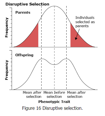 Quantitative Genetics | Botany Optional for UPSC