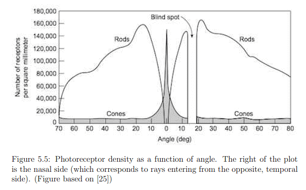 The Physiology of Human Vision | Zoology Optional Notes for UPSC
