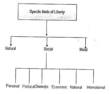 essay on social liberty