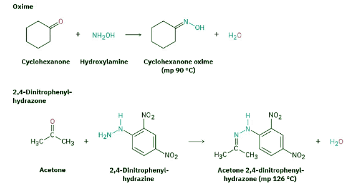 9.13: Nucleophilic Addition Of Amines- Imine And Enamine Formation – JFFA