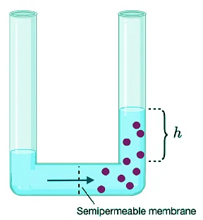 Thermodynamic Variables and Equations of State | Chemistry Optional Notes for UPSC