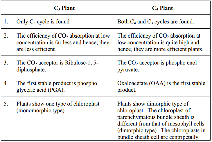 Photosynthesis: Photochemical reactions, Photophosphorylation and ...