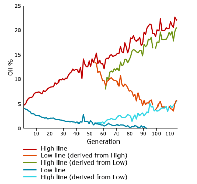 Quantitative Genetics | Botany Optional for UPSC