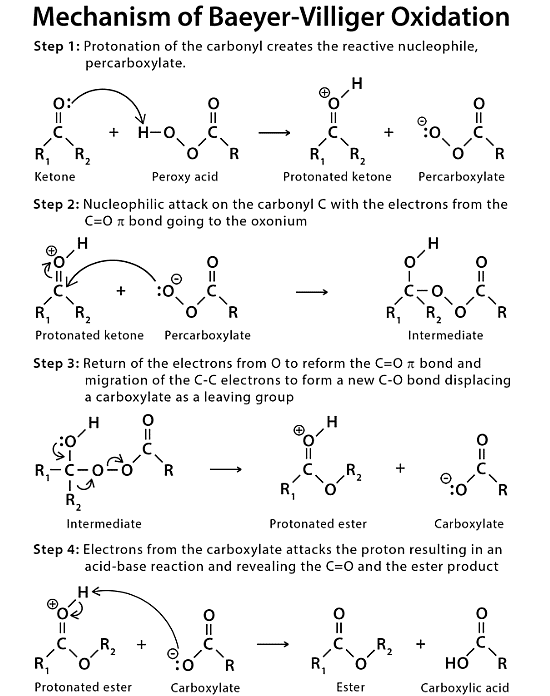 Baeyer-Villiger Oxidation And Rearrangement - Chemistry Optional Notes ...