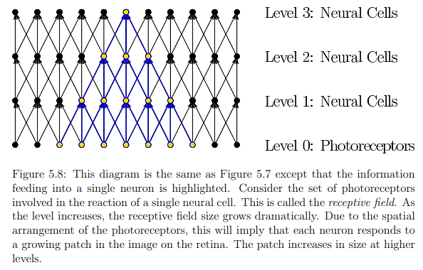 The Physiology of Human Vision | Zoology Optional Notes for UPSC