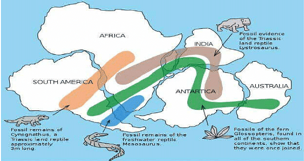 Continental Drift and Distribution of Animals - Zoology Optional Notes ...