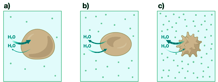 Thermodynamic Variables and Equations of State | Chemistry Optional Notes for UPSC