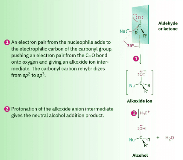 Nucleophilic Addition Reactions of Aldehydes and Ketones - Chemistry ...