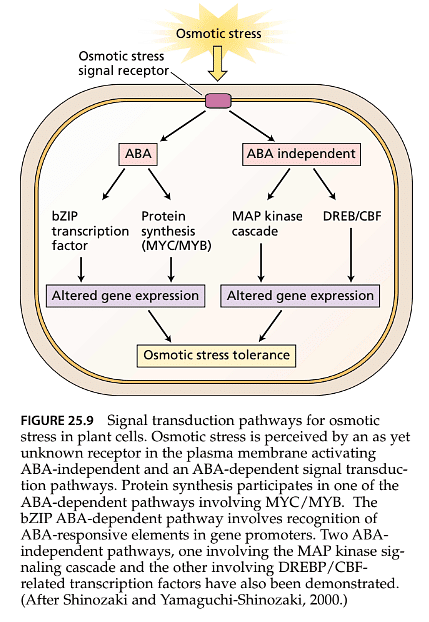 Stress Physiology - UPSC PDF Download