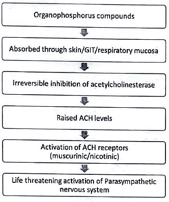 OP Poisoning - Medical Science Optional Notes for UPSC PDF Download