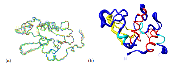 Protein Folding | Zoology Optional Notes for UPSC