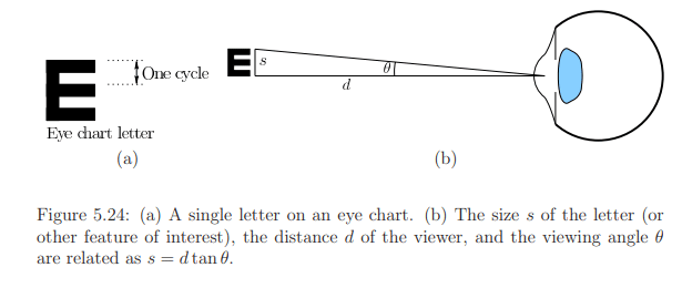 The Physiology of Human Vision | Zoology Optional Notes for UPSC