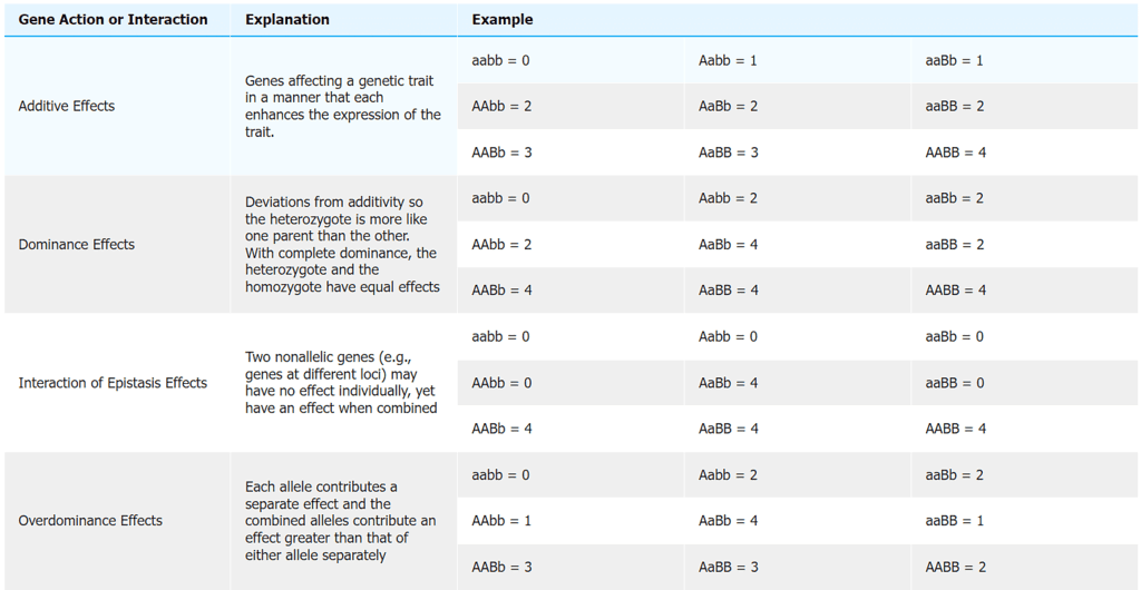 Quantitative Genetics | Botany Optional for UPSC