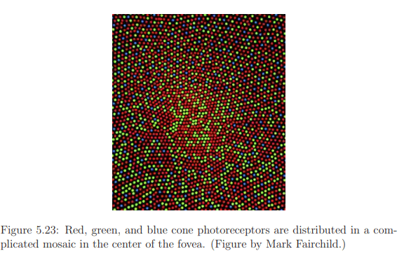 The Physiology of Human Vision | Zoology Optional Notes for UPSC