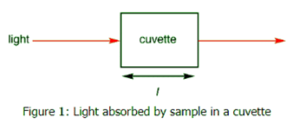 Absorption of light & The Beer-Lambert Law | Chemistry Optional Notes for UPSC