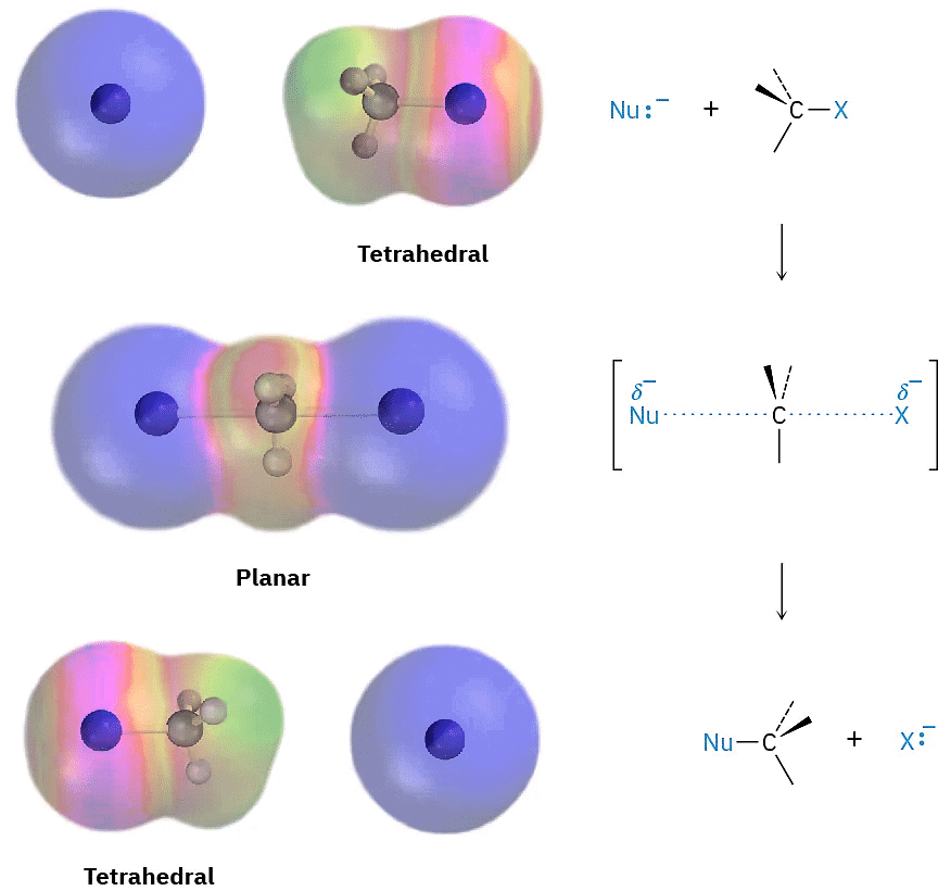 The SN2 Reaction and Characteristics of the SN2 Reaction - Chemistry ...