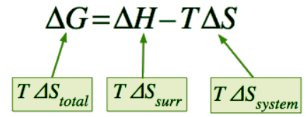 The Gibbs Free Energy | Chemistry Optional Notes for UPSC