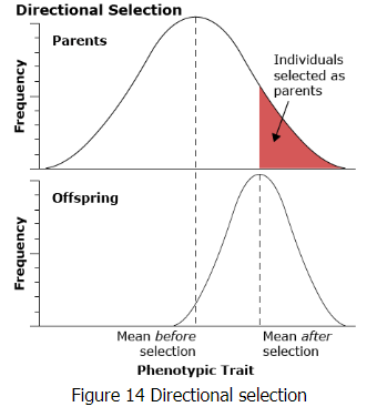 Quantitative Genetics | Botany Optional for UPSC