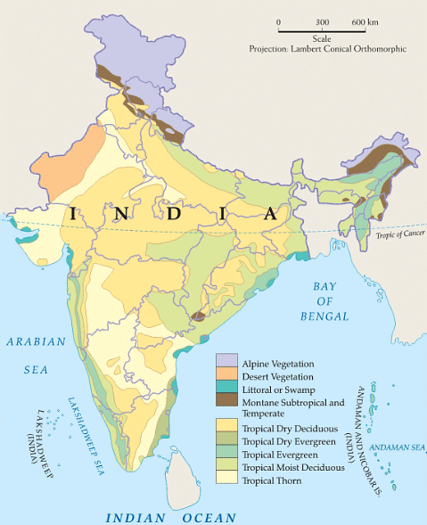 Natural Vegetation | Geography Optional for UPSC (Notes) PDF Download