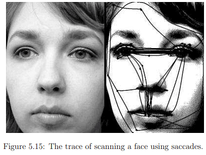 The Physiology of Human Vision | Zoology Optional Notes for UPSC