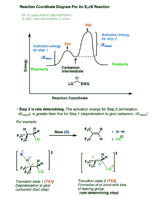 E1cb Reaction and mechanism - Chemistry Optional Notes for UPSC PDF ...