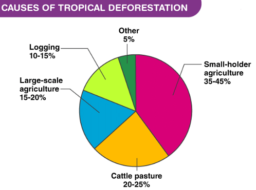 Causes of Tropical Deforestation