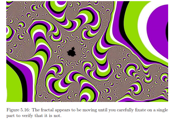 The Physiology of Human Vision | Zoology Optional Notes for UPSC