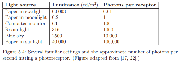 The Physiology of Human Vision | Zoology Optional Notes for UPSC