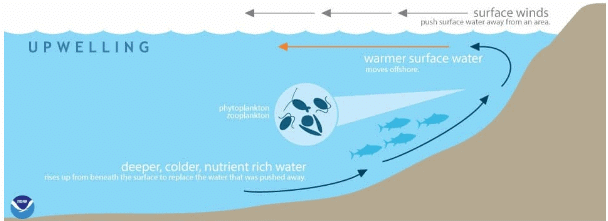 Waves, Currents and Tides - Geography Optional for UPSC (Notes) PDF ...