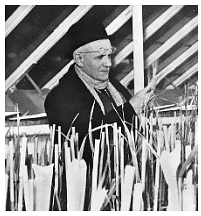 Herman Nilsson-Ehle. Photo licensed under Public Domain via Wikimedia Commons