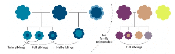 Individuals that are related genetically would be expected to be more phenotypically similar to each other than to other individuals from a population