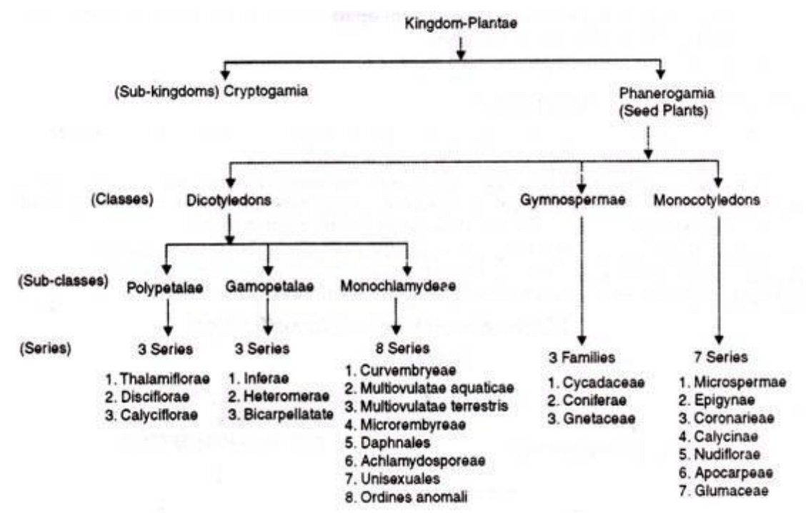 Origin and Evolution of Angiosperms - Botany Optional for UPSC PDF Download