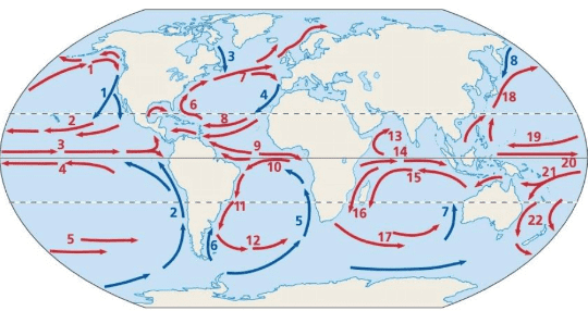 Waves, Currents and Tides - Geography Optional for UPSC (Notes) PDF ...